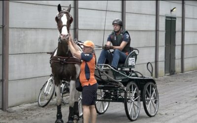 Pestman pakt goud met Nederlands team bij WK mennen
