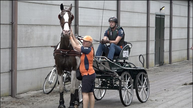 Pestman pakt goud met Nederlands team bij WK mennen