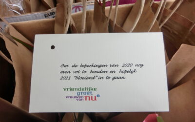 Amaryllisbol voor Vrouwen van Nu