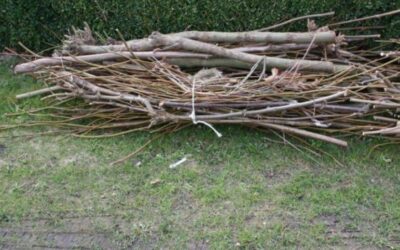 Gratis Takkenweken gaan door!