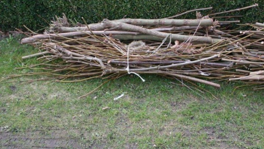 Gratis Takkenweken gaan door!